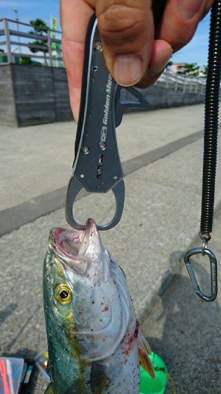 スランプ脱出？