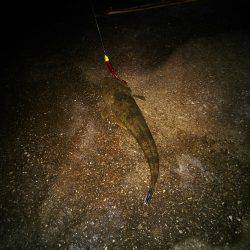 久々のフラット