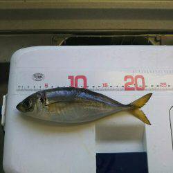 リニューアルオープン