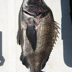 太刀魚ジギング&キャスティング