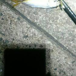 やっぱり遅い。