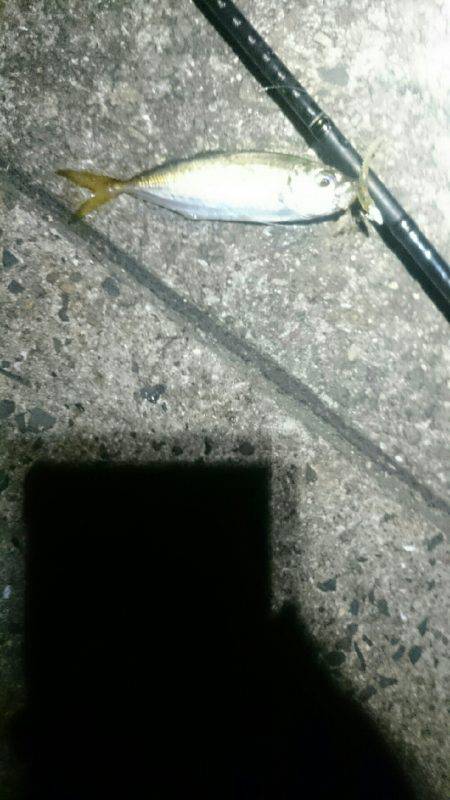 やっぱり遅い。