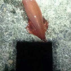 このままでは…