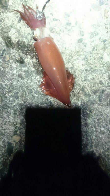 このままでは…