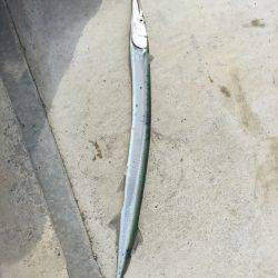 ゲキ渋宮川チニング