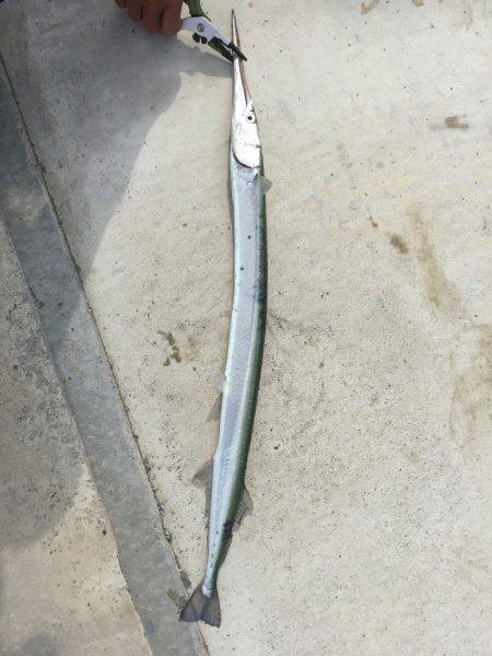 ゲキ渋宮川チニング