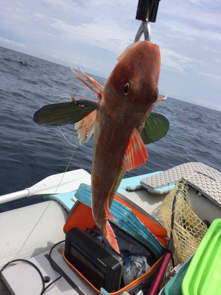 マイボートでタイラバ、ジギング