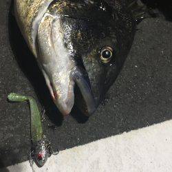 あと、3センチ…