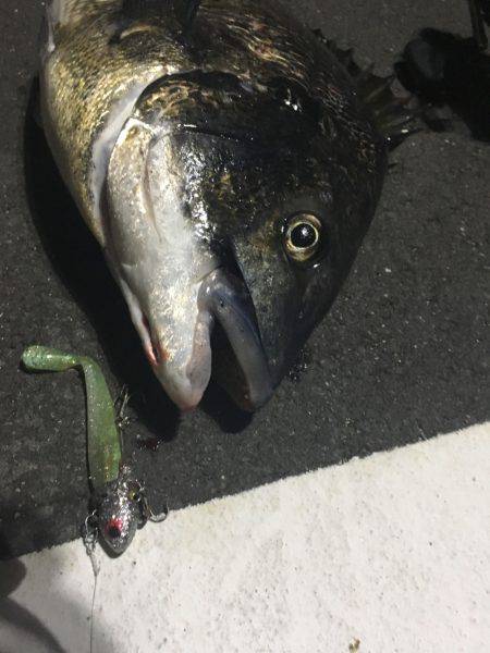 あと、3センチ…