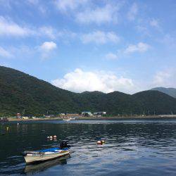 高知は古満目漁港で夏イカ狙い❗️