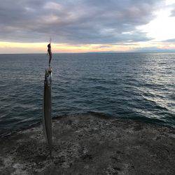 タチウオ2匹とカマス