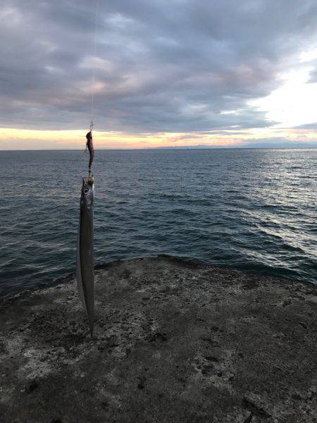 タチウオ2匹とカマス