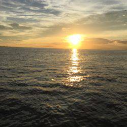 ジグサビキ スーパーライトショアジギング アジング