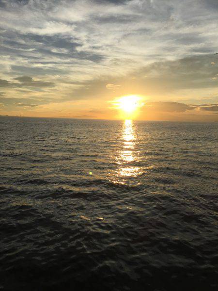 ジグサビキ スーパーライトショアジギング アジング