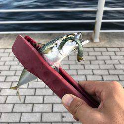 ナイト&デイ フルコース笑