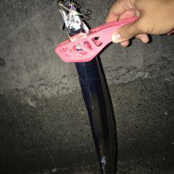 神戸港でタチウオワインド