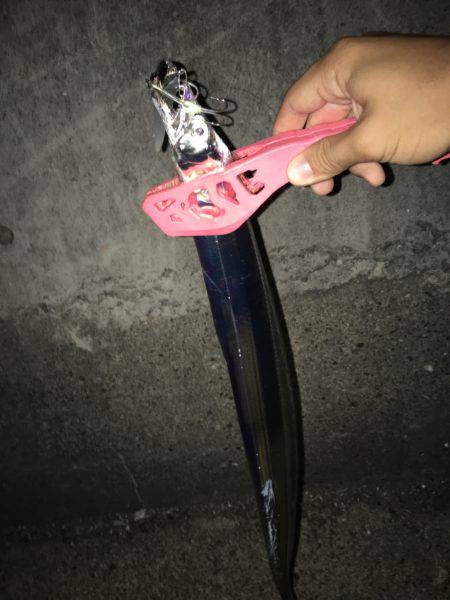 神戸港でタチウオワインド