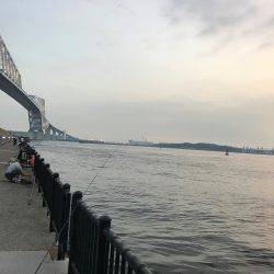 夕方からシーバス狙い