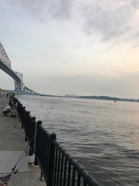 夕方からシーバス狙い