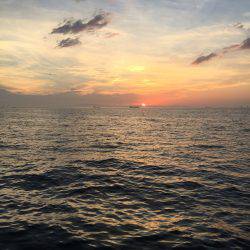 昼過ぎから日没まで