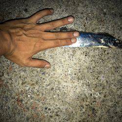 爆釣のはずが・・・