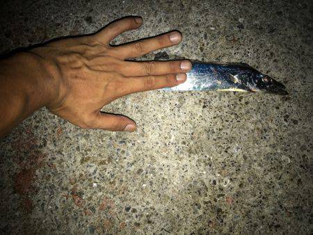 爆釣のはずが・・・