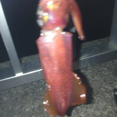 大蔵海岸でイカ釣して来ました〜＾＾