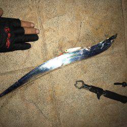 ランガン夏タチショアジギング