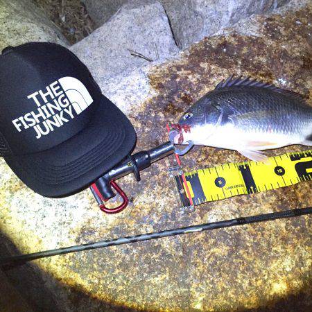 淀川花火大会の日にチニング