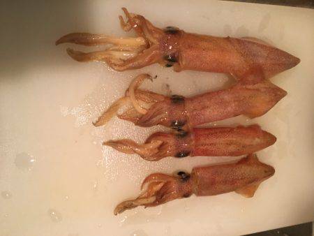 アジュール舞子でケンサキエギング