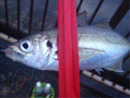 雨ニモマケズ風ニモマケズ