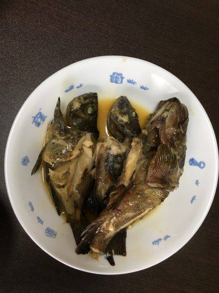 台風後のガシラ