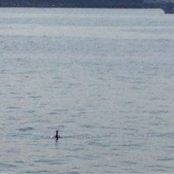 なんとか一杯…