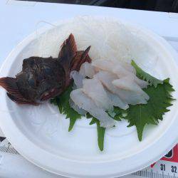 野島沖堤防で刺身を食いました！