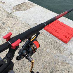 久しぶりの30㎝オーバー