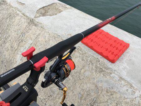 久しぶりの30㎝オーバー