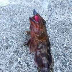 ライトワインド