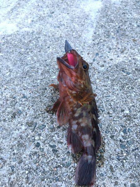 ライトワインド