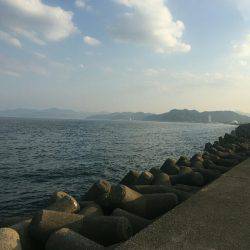 ショアジギでシオ