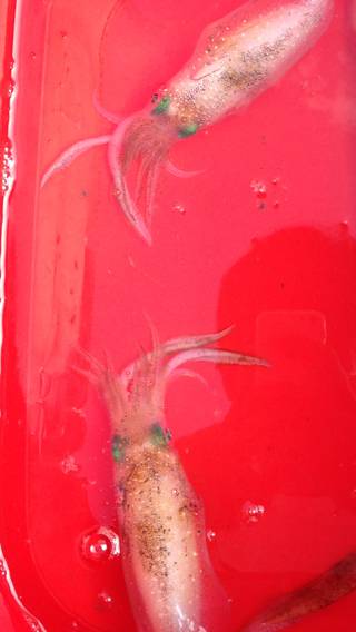 予想外‼︎ビックリな結末