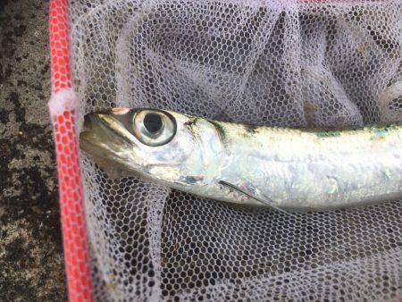 帰省遠征釣行（アウェイ実感）