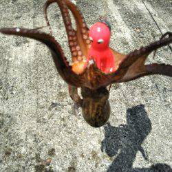 オクトパッシング