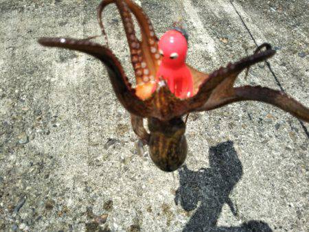 オクトパッシング