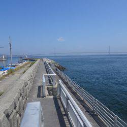 ハマチ入れ食い