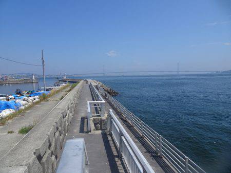 ハマチ入れ食い