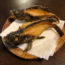 カサゴ2匹を唐揚げ