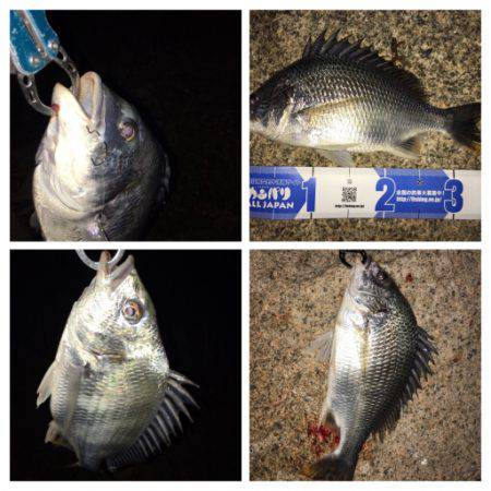 淀川ブリゲー つ抜け