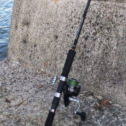 朝マズメ ジギング