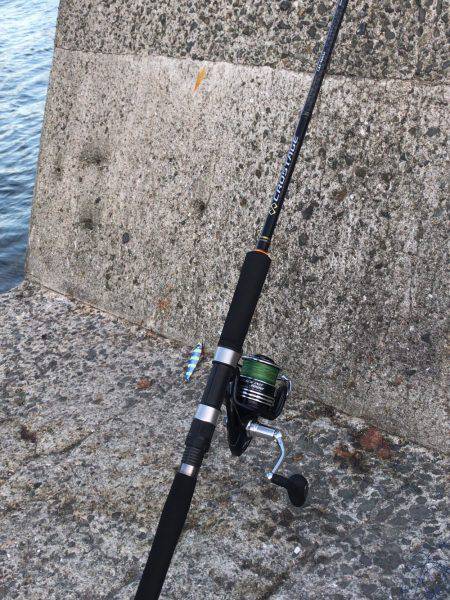 朝マズメ ジギング