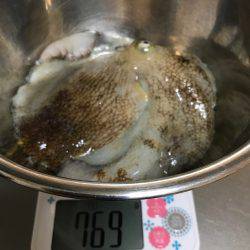 盆休み初日の釣果